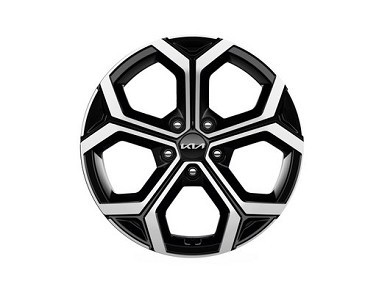 Image of item ДЖАНТА - АЛУМИНИЕВА 18"