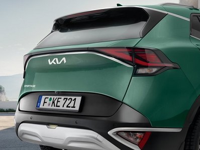 Image of item ЛАЙСНА ПЕТА ВРАТА, CHROME LOOK