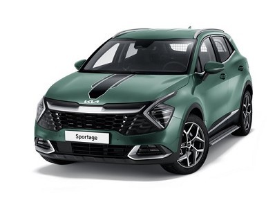 Image of item DECALS, RACING STRIPES, BLACK/WHITE