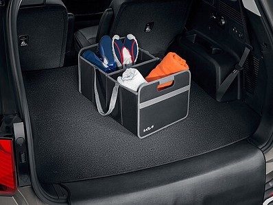 Image of item СТЕЛКА - БАГАЖНИК, ДВУЛИЦЕВА