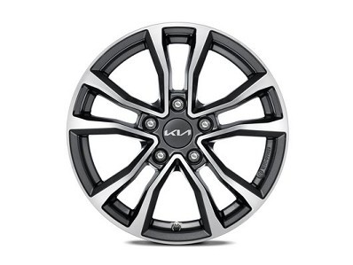 Image of item ДЖАНТА 16" ANYANG