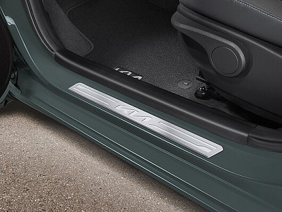 Image of item ENTRY GUARDS