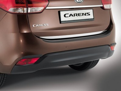 Image of item TAILGATE TRIM LINE