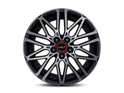 Image of item ДЖАНТА 18''