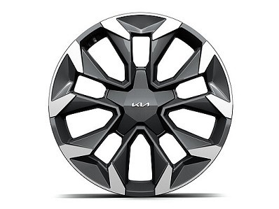 Image of item ДЖАНТА АЛУМИНИЕВА 20"