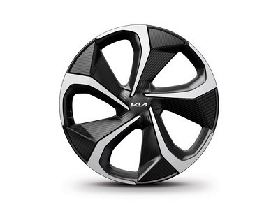 Image of item ДЖАНТА АЛУМИНИЕВА 20"