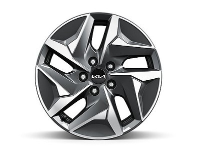 Image of item ДЖАНТА - АЛУМИНИЕВА 17"