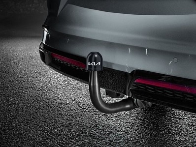 Image of item ТЕГЛИЧ - ДЕМОНТИРУЕМ, PROCEED