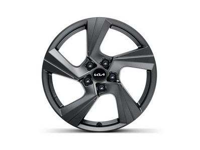 Image of item ДЖАНТА 18' - АЛУМИНИЕВА, ГРАФИТ