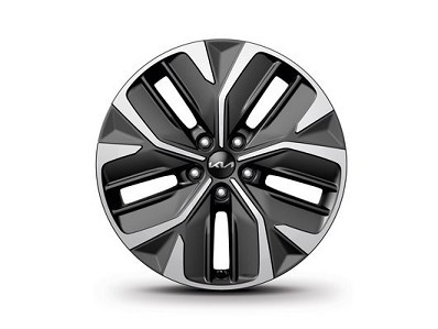 Image of item ДЖАНТА АЛУМИНИЕВА 19"