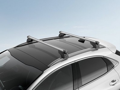 Image of item НАПРЕЧНИ РЕЙКИ ЗА ПОКРИВА-WAGON