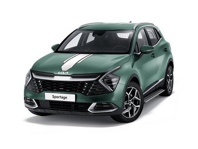 Image of item DECALS, RACING STRIPES, WHITE/BLACK