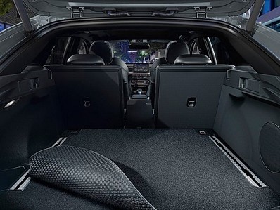 Image of item TRUNK MAT REVERSIBLE, FOR PROCEED W