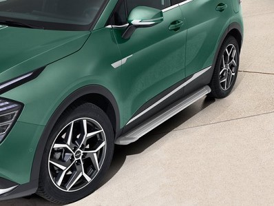 Image of item СТЕПЕНКИ - СИВИ