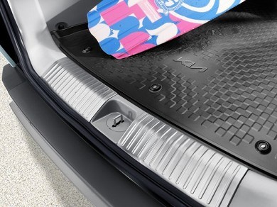 Image of item ПРОТЕКТОР БАГАЖНИК