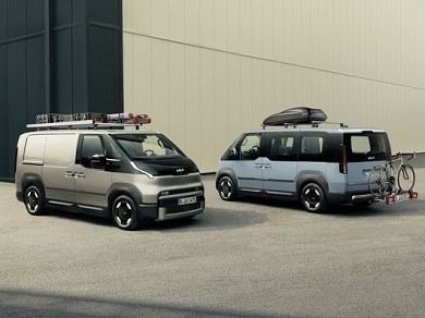 Image of item ЛАЙСНИ ВРАТИ КОМПЛЕКТ