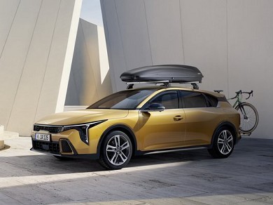 Image of item ДЖАНТА - АЛУМИНИЕВА 17"