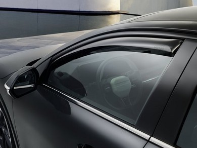 Image of item ВЕТРОБРАНИ ЗА ПРЕДНИТЕ ВРАТИ