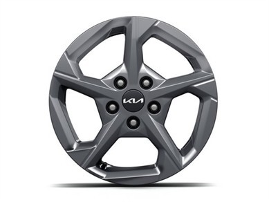 Image of item ДЖАНТА АЛУМИНИЕВА 16""