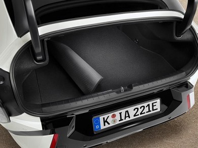 Image of item СТЕЛКА - БАГАЖНИК, ДВУЛИЦЕВА