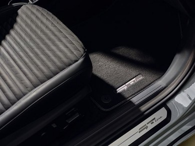 Image of item СТЕЛКИ ВЕЛУРЕНИ - GL