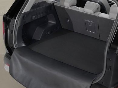 Image of item СТЕЛКА - БАГАЖНИК, ДВУЛИЦЕВА