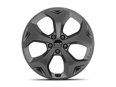 Image of item ДЖАНТА АЛУМИНИЕВА - 19'' графит